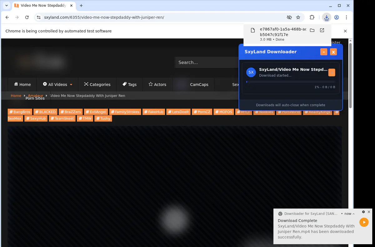 Sxyland Video Downloader browser extension screenshot 2