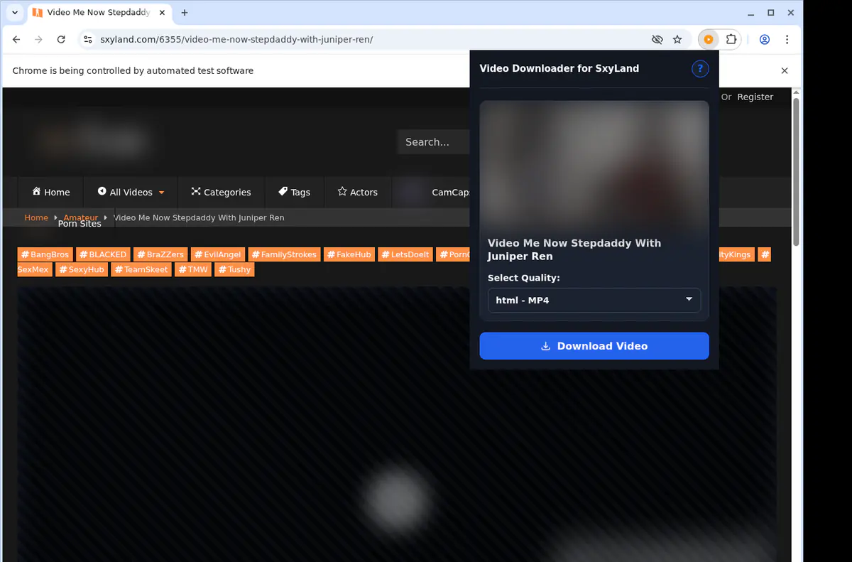 Sxyland Video Downloader browser extension screenshot 3