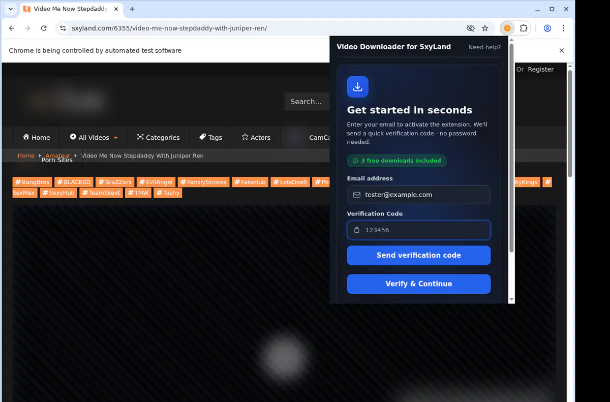 Sxyland Video Downloader browser extension screenshot 4