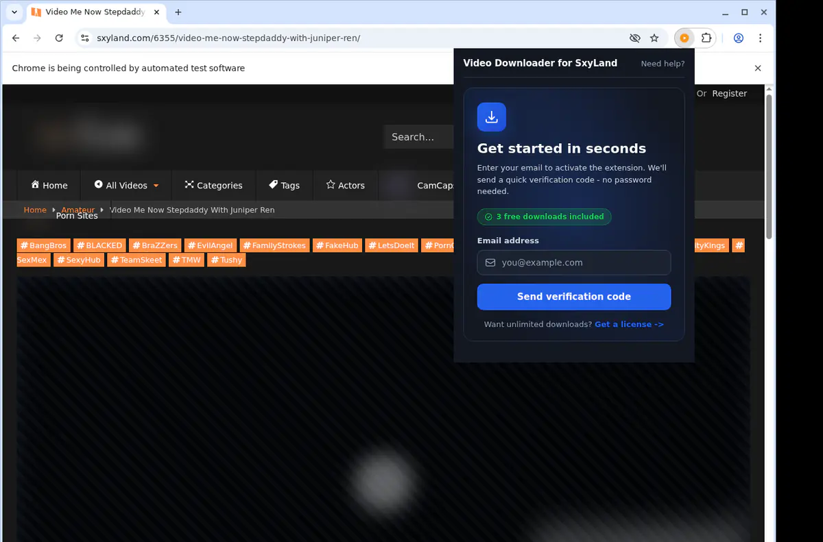 Sxyland Video Downloader browser extension screenshot 5